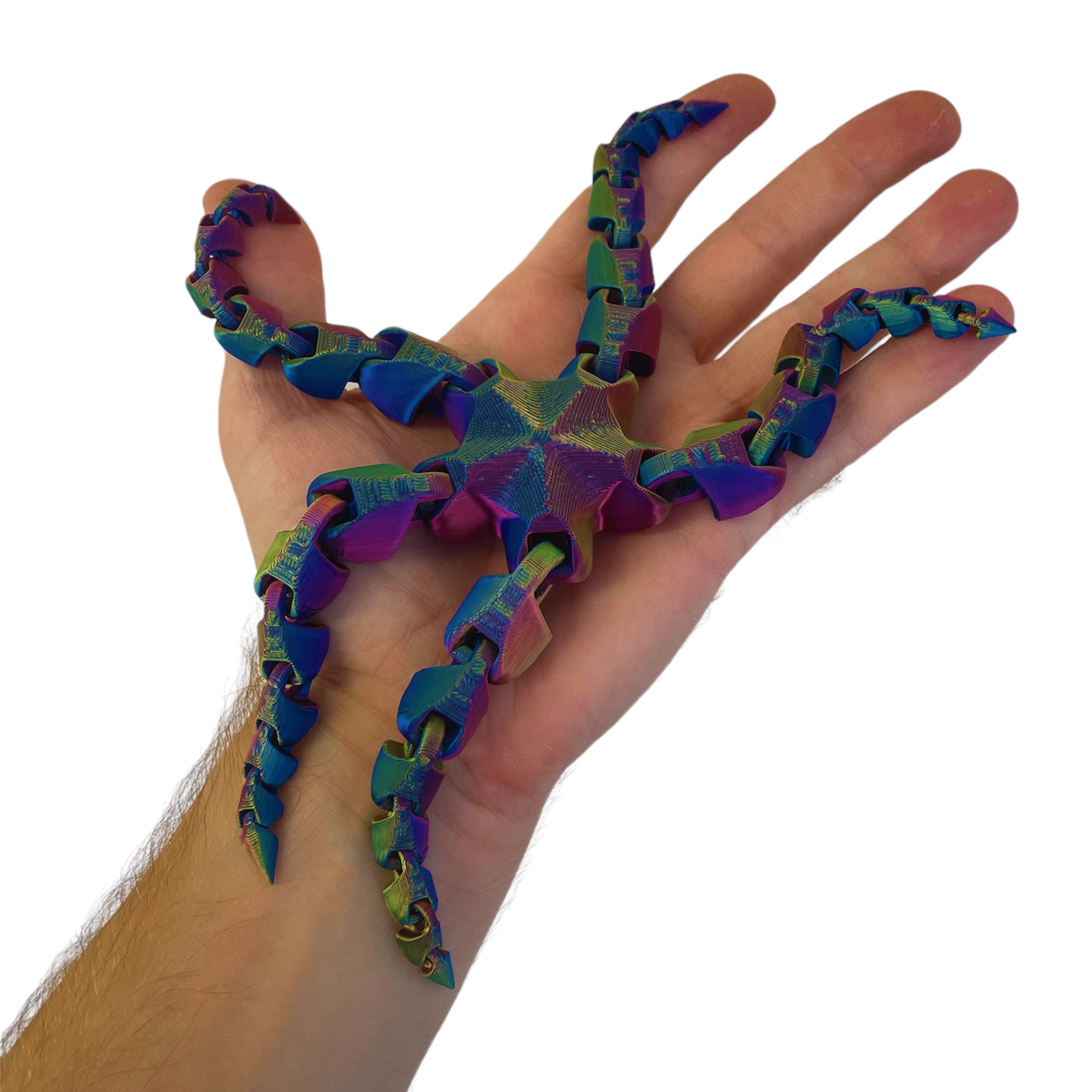 NEW Starfish Fidget Toys - Available in 10 Different Colours